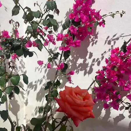 Giulia Sul Mare Marausa