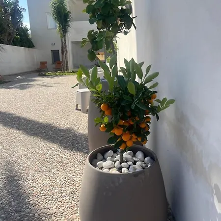 Giulia Sul Mare * Marausa